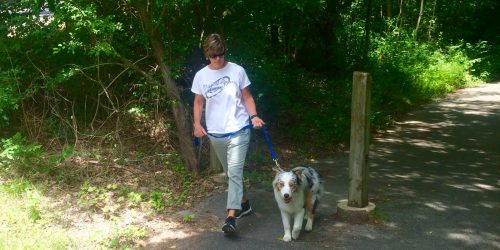 summer-trail-with-dog